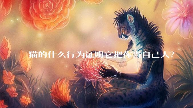 猫的什么行为证明它把你当自己人？