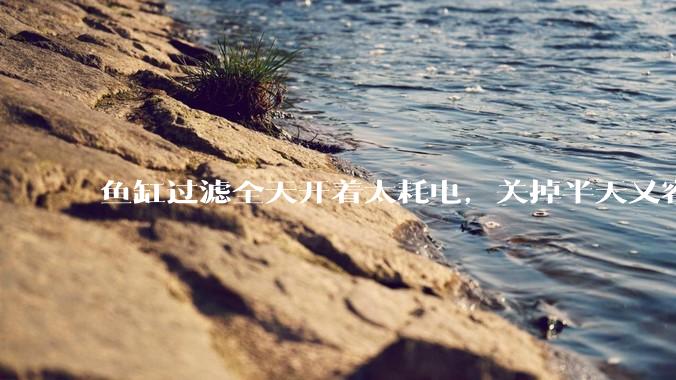 鱼缸过滤全天开着太耗电，关掉半天又容易水浑，有什么好办法？