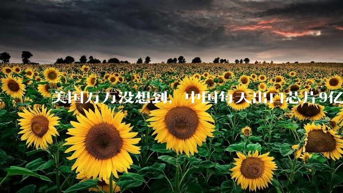 美国万万没想到，中国每天出口芯片9亿颗，52亿元，大增69%_金额_发展_全球