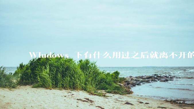 Windows 下有什么用过之后就离不开的冷门软件？