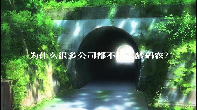 为什么很多公司都不招大龄码农？
