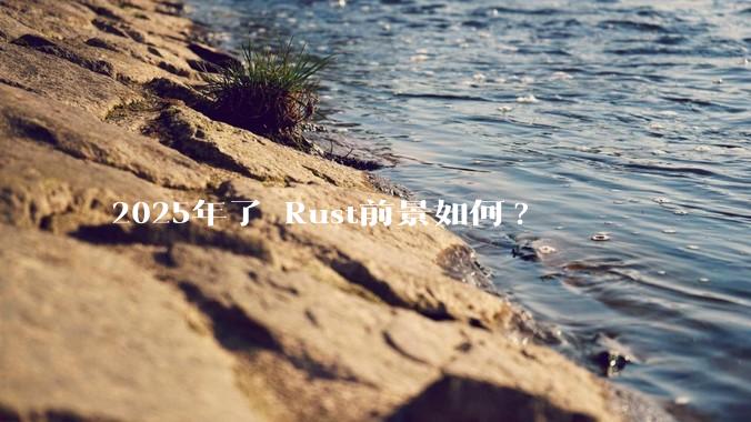 2025年了 Rust前景如何?